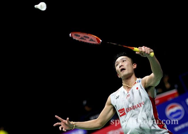 还迫使教练 还迫使教练